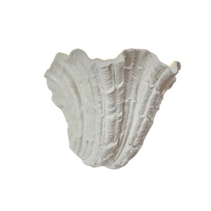French-Style Seashell Wall Lamp Wabi-Sabi Style Baroque Art for Master Bedroom Surface-Mounted Plaster Elegant Design for - Product Image 4