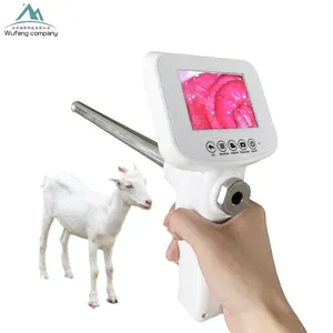 Ai Gun Artificial Insemination For Goat
