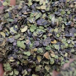 1 kilogramme en vrac de plantes médicinales séchées au soleil, type B, de type Egeria alba, biologiques, antioxydantes, en sachet ou en boîte - Product Image 4