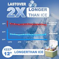 Pack de glace sèche en gel pour glacière alimentaire jetable en plastique personnalisable avec logo, feuille de congélation avec logo pour boîte à lunch