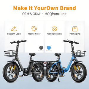 Vélo électrique pliant à pneus larges 20"x3.0, 250W 75NM, capacité de montée 30°, cadre bas, 48V13Ah, IP65, StVZO, 7 vitesses, 330LBS, entrepôt UE/Royaume-Uni, vente en gros - Product Image 5