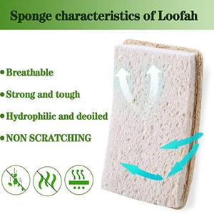 Éponge à vaisselle biodégradable, écologique, naturelle, en luffa, en cellulose, pour le nettoyage de la vaisselle de cuisine - Product Image 2