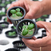 Pots en filet en plastique PP de 2, 3 et 4 pouces, noirs ou blancs, G et N, pour système hydroponique NFT, culture de légumes
