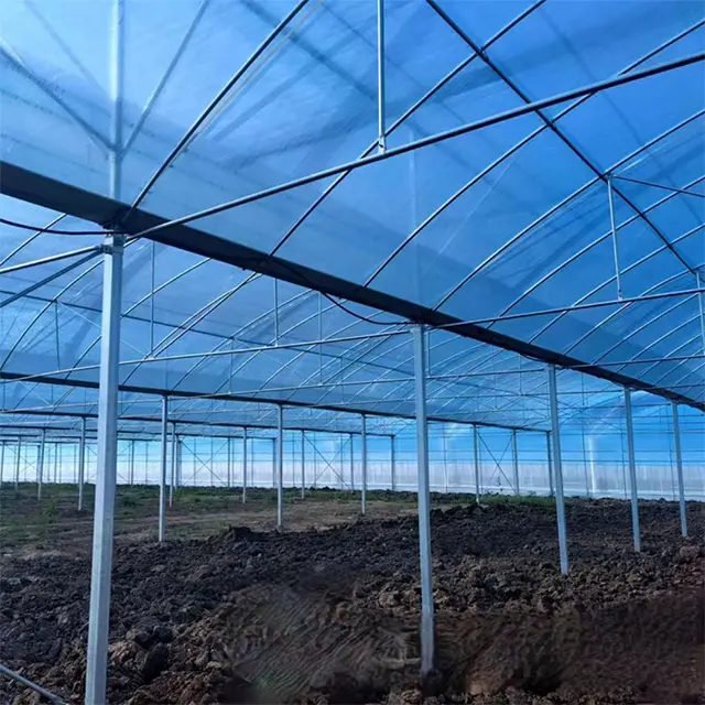 Sawtooth Agricultural Greenhouse for Effective Crop Production