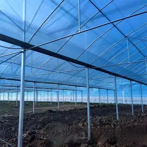 효율적인 작물 생산을 위한 톱니농업온실