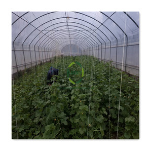 Walkin Grow Equipment Ventilation System Polytunnel Aluminium Profiles Single-Span Greenhouses For Sale With Bugs Net