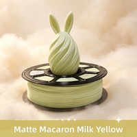 Filament d'imprimante 3D PLA Macaron couleur unie 1,75 mm en stock, vente en gros pour imprimantes FDM et projets créatifs