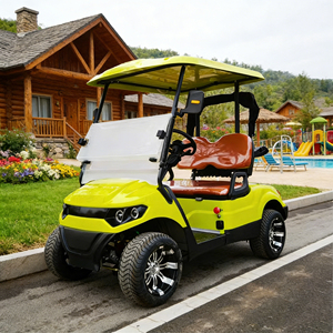 Golf Cart Personalizzato a 2 Posti per Country Club, Aeroporti e Turismo - Buggy da Golf a 2 Posti con Batteria al Litio, Senza Manutenzione, Lunga Autonomia - Product Image 2