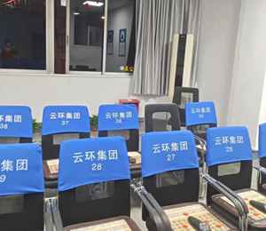 热销定制埃塞俄比亚传统LOGO椅背套促销座套VIP座椅套 - Product Image 4