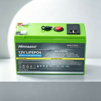 Batterie LiFePO4 12V 24V avec BMS intégré, cycle profond, 153,6 Wh, 6000 cycles, pour solaire, camping-car, marine, hors réseau, onduleur