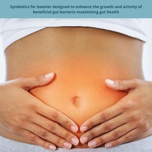 Venta caliente simbióticos diseñados mejorar la actividad de crecimiento maximizar la salud intestinal impulsar bacterias intestinales beneficiosas extracto Animal - Product Image 2