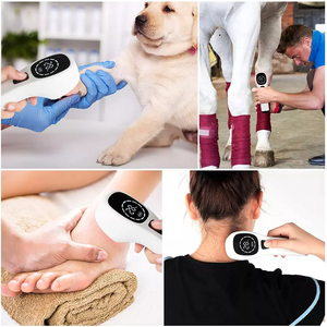LLLT láser frío fisioterapia 650nm 808nm dispositivo de terapia láser terapéutico portátil láser para caballos perros humanos - Product Image 4