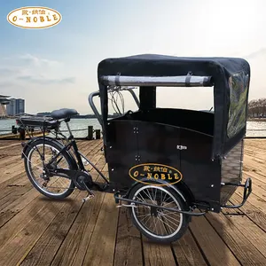 New Arrived 3 Wheel Electric Cargo Bike China Cargo Tricycle