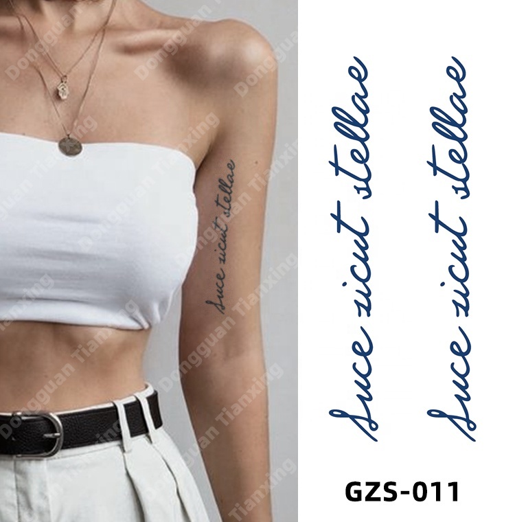 GZS-011
