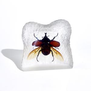 Insectes réalistes en résine en gros, scorpion, araignée, forme de montagne, thème animal, décoration d'intérieur, souvenir - Product Image 5