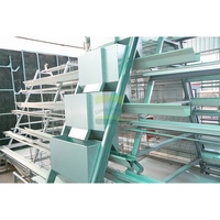 Système de cages à poules pondeuses entièrement automatique de type A en acier galvanisé avec collecte automatique des œufs et élimination du fumier pour élevage avicole commercial