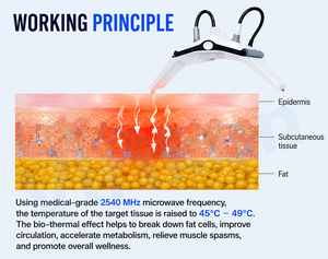 Máquina de Lipólisis para Adelgazar, Quema Grasa, Elimina Arrugas y Moldea el Cuerpo - Product Image 3