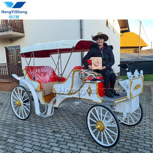 Transport à cheval à 4 roues pour les visites touristiques du parc Transport spécial pour les visites touristiques - Product Image 3