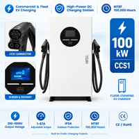 Borne de Recharge Rapide DCFast 100kW CCS2 à Refroidissement Liquide Double Pistolet OCPP 1.6J Station de Service Facturation Intelligente Paiement QR Équilibrage Dynamique du Chargeur