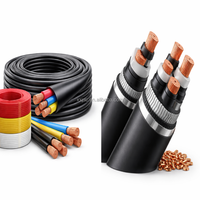 Cable Eléctrico de Aluminio THHN/THWN-2 de 10kV con Revestimiento de PVC para Uso Industrial en Exteriores