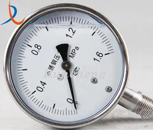 विभिन्न प्रकार के दबाव गेज/शॉक प्रूफ दबाव गेज - Product Image 3