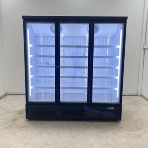 Congélateur vertical Byron Tall - Congélateur de présentation de 2 m de <span class=keywords><strong>hauteur</strong></span> pour un stockage maximal - Product Image 6