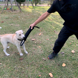 50 özelleştirebilirsiniz logo köpek römorkör oyuncak köpek sert jüt Bite yastık kalıcı eğitim ekipmanları yavru büyük köpekler için interaktif oyuncak - Product Image 2