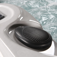 Venta caliente Bañeras al aire libre clásicas Independiente Gran Whirlpool Spa 5 Persona Balboa Hot Tubs