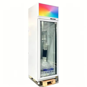 Congélateur vertical à une porte avec compresseur supérieur et porte vitrée simple pour supermarché et magasin de proximité - Product Image 1