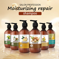KOGEEYY 500ml Série Herbes Naturelles Extrait de Gingembre Nourrissant Ginseng Volumisant Huile d'Olive Purifiante Shampoing Capillaire Soyeux à la Noix de Coco
