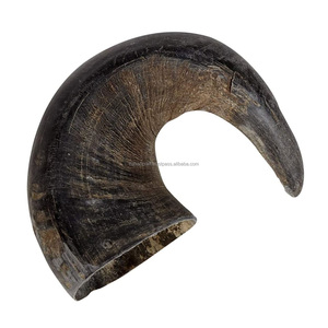 Corne imboulé naturel en forme de Viking, 5 m, à boire, style Viking, vente en gros - Product Image 4