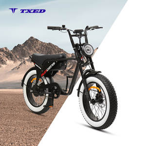 Vélo électrique TXED E Times Tour JR 500W, moto de tourisme pour adultes de 20 pouces, batterie au lithium 48V, pneu gras en acier, <40 km/h - Product Image 1