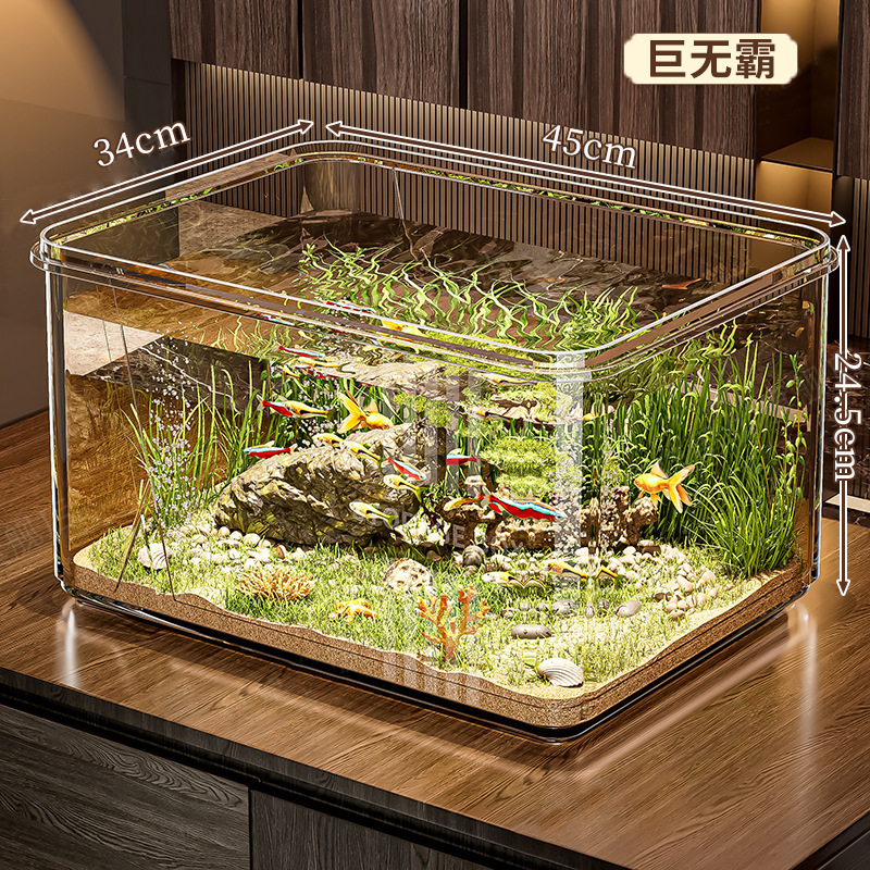 Grande acquario ecologico per pesci