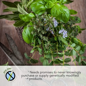 Collection de 5 sachets d'herbes non OGM non traitées pour pots suspendus et jardinières : Origano, <span class=keywords><strong>Basilic</strong></span>, Romarin, Sauge, Persil - Product Image 4