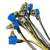 Kabel Harness Perakitan Konektor Kustom JST Dupont Hirose Molex FC Pitch 1.0 1.25 1.5 2.0 2.5mm 2/3/4/5/6/7/8/10