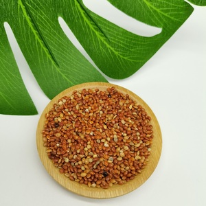 Nouvelle récolte de maïs à balai rouge chinois <span class=keywords><strong>Millet</strong></span> Prix bon marché pour graines pour <span class=keywords><strong>oiseaux</strong></span> - Product Image 3