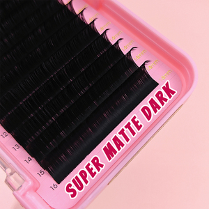 Nhãn hiệu riêng 0.03 0.05 0.07 0.10 cá nhân lông mi khay bán buôn C D CC DD Cashmere Lash mở rộng Lash khay nhãn hiệu riêng - Product Image 4