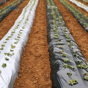 Fruits Légumes Maïs Agriculture Nourrir Noir et Argent Paillis <span class=keywords><strong>Agricole</strong></span> Film paillage Film Paillis Plastique - Product Image 5