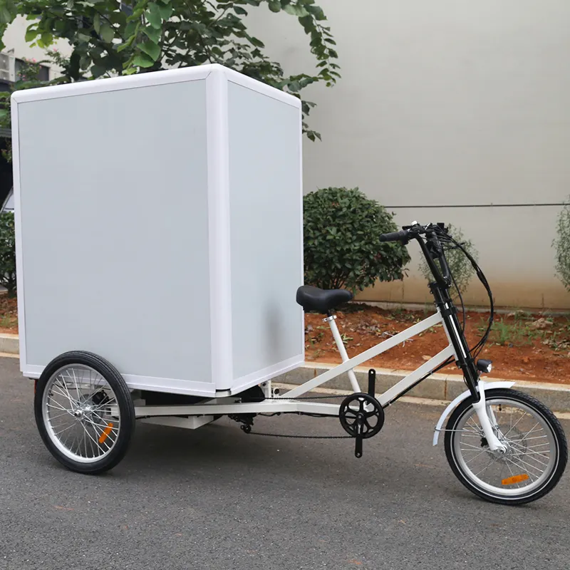 EZREAL-Tricycle électrique vintage à trois roues pour adulte, vélo motorisé 48V, 250W, 32AH, écran LCD CE, ouvert de 3 à 5h