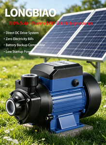 <span class=keywords><strong>Pompe</strong></span> à <span class=keywords><strong>eau</strong></span> auto-amorçante à vortex pour pipeline photovoltaïque DC12, haute puissance, haut débit, modèle BDQB - Product Image 2