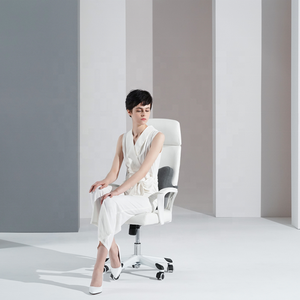 Bravo <strong>Extra</strong> Dense Lumbar <strong>Pillow</strong> Patented Ergonomic <strong>Firm</strong> Back Support <strong>Pillow</strong> for Lower Back Pain Relief - Product Image 6