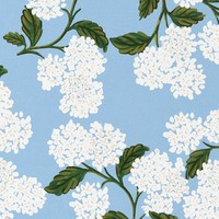Boîte cadeau de luxe personnalisée, écologique, avec fermeture magnétique, en carton rigide avec couvercle supérieur en feuille d'or, pour l'emballage de vêtements et de chaussettes