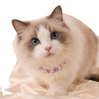 Collier de luxe en cristal pour animaux de compagnie, style princesse, réglable, avec strass scintillants, pour chiots, avec boîte cadeau pour petits chiens
