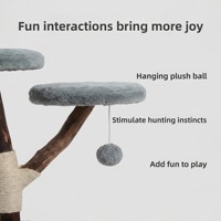 Arbre à chat en bois massif intégré avec niche douillette en bois de fruit, griffoir recouvert de jute, plateforme de saut, style épuré MR52