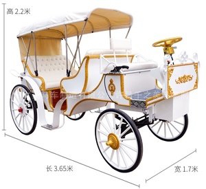 Qianzhimei รถเข็น<span class=keywords><strong>ม้า</strong></span>สีขาวสุดหรูสำหรับงานแต่งงานรถม้าไฟฟ้ายอดนิยมพร้อมระเบิดสุนทรียภาพทำจากเหล็ก - Product Image 4