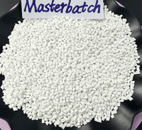 Masterbatch de Alto Rendimiento con Protección UV y Antienvejecimiento para Mayor Durabilidad en Exteriores