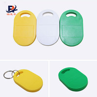RFID-Schlüsselanhänger NFC-Schlüsselanhänger EM4200 RFID-Keyfob Doppelchip für Türzugang Individuell Anpassbar