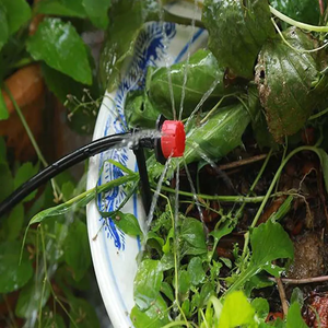 10M 20M 30M <span class=keywords><strong>50M</strong></span> gouttes <span class=keywords><strong>kit</strong></span> de pulvérisation de jardin arroseur système de <span class=keywords><strong>goutte</strong></span> à <span class=keywords><strong>goutte</strong></span> arrosage avec minuterie <span class=keywords><strong>kit</strong></span> d'irrigation pour plante en croissance - Product Image 6