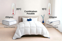 Couette de luxe en duvet de coton et plumes de canard, avec remplissage de duvet et plumes, design à compartiments, blanche unie, pour la literie de la maison