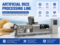 Extrudeuse automatique de riz artificiel à double vis en acier inoxydable haute capacité pour ligne de production de riz nutritionnel et riz fortifié